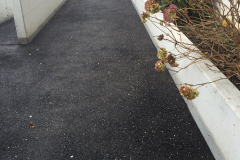 Chemin nettoyé au Karscher