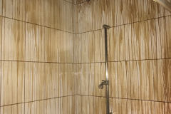 Douche dans un état rarement vu